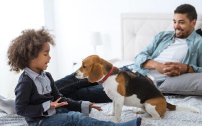 Experience Pet Friendly Living at VITRA Apartments